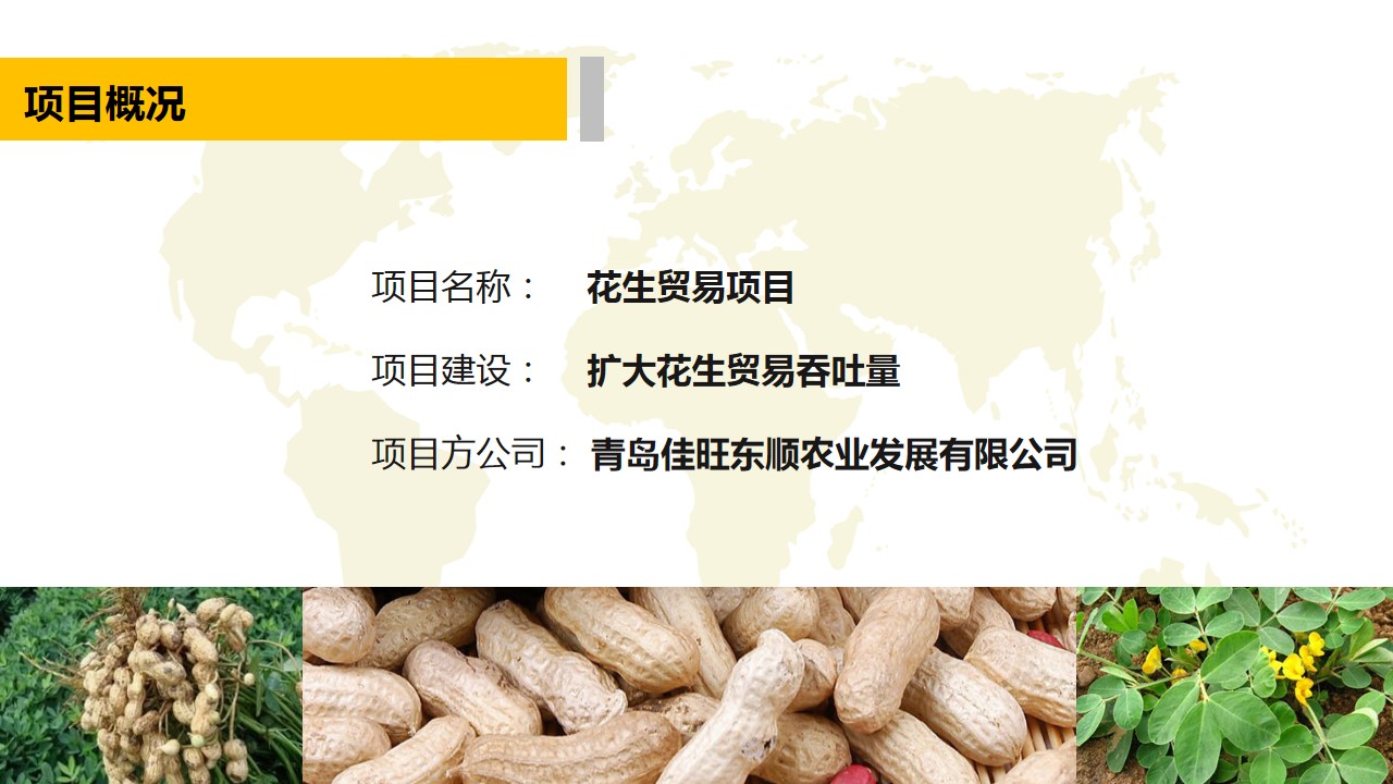 青岛PPT代写,青岛PPT撰写,商业计划书PPT代写,项目融资商业计划书代写,专业写PPT,可行性计划PPT撰写,专业写PPT的公司,公司介绍PPT,青岛专业写PPT,农业项目PPT商业计划书