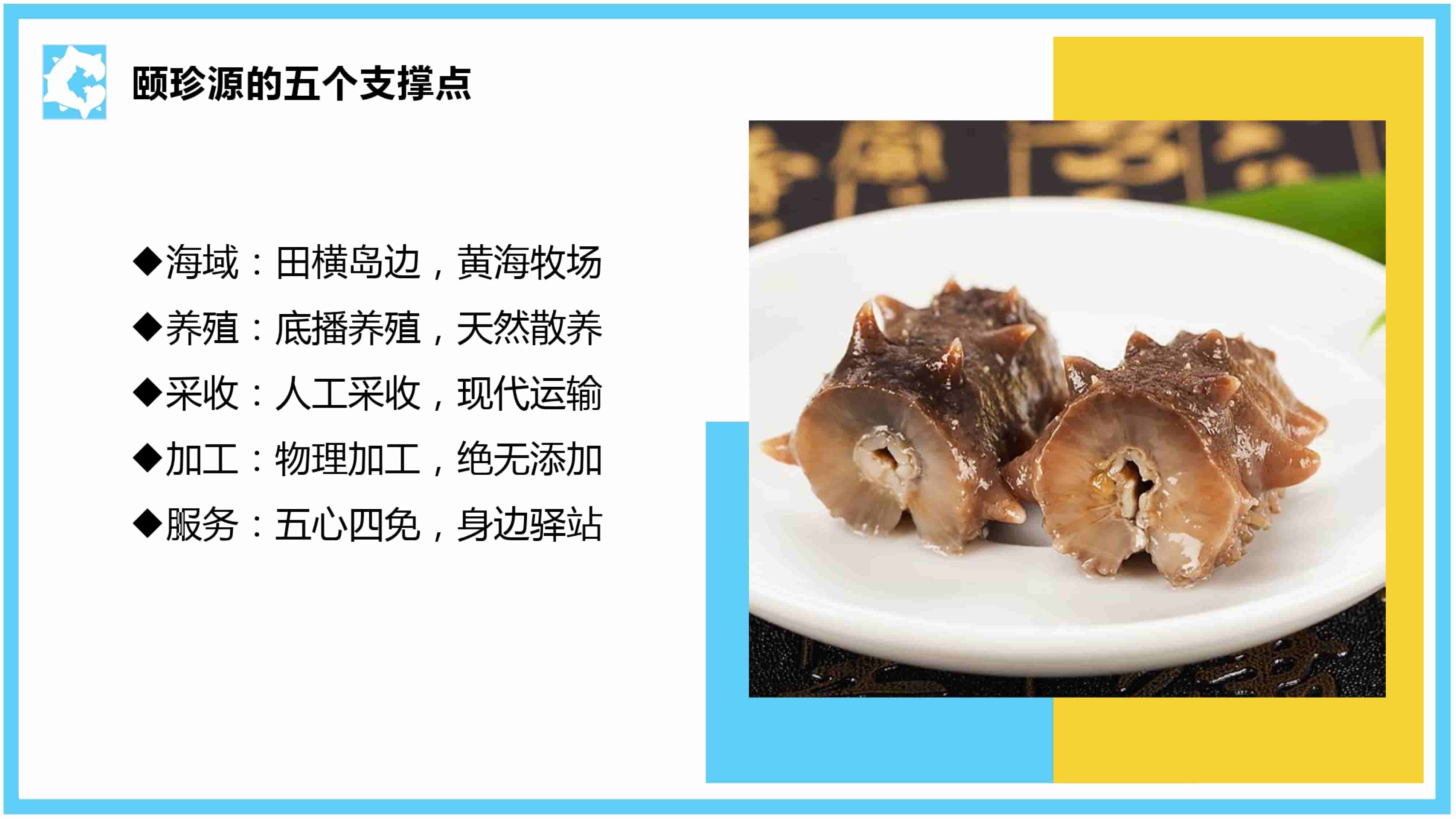 青岛品牌策划公司，青岛营销策划公司，青岛全案策划公司，青岛海参品牌全案策划案例，青岛海参品牌市场研究，青岛海参品牌定位研究，青岛海参品牌营销策划