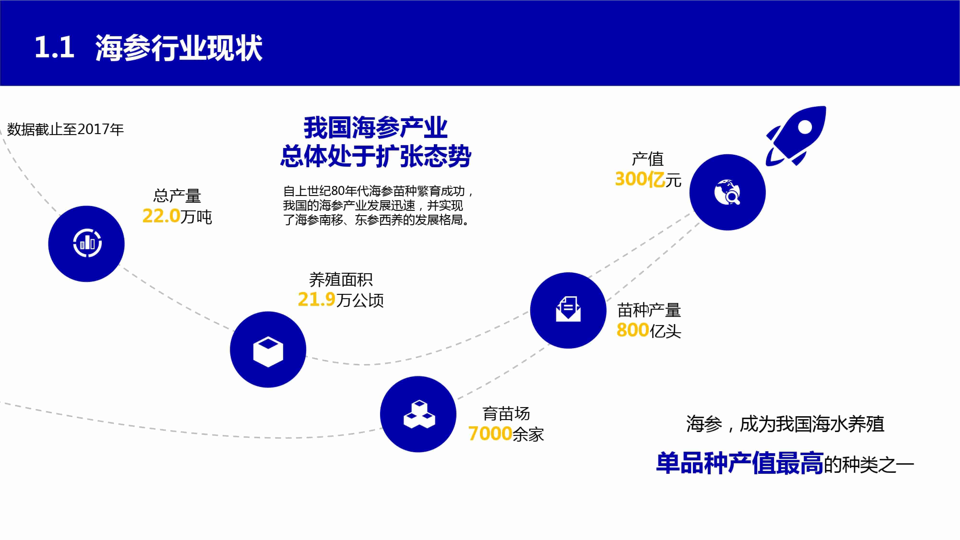 青岛品牌策划公司，青岛营销策划公司，青岛全案策划公司，青岛海参品牌全案策划案例，青岛海参品牌市场研究，青岛海参品牌定位研究，青岛海参品牌营销策划