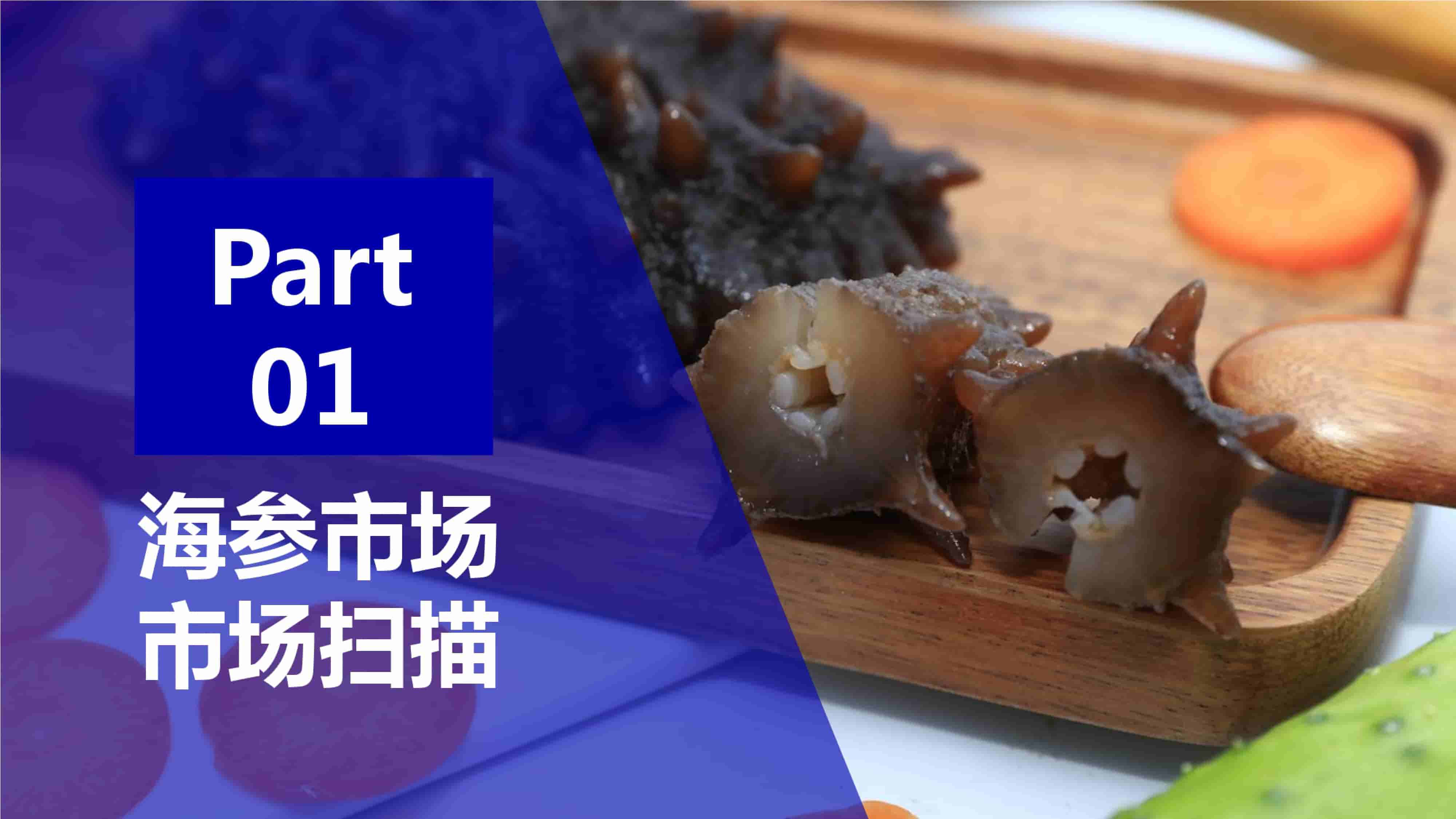 青岛品牌策划公司，青岛营销策划公司，青岛全案策划公司，青岛海参品牌全案策划案例，青岛海参品牌市场研究，青岛海参品牌定位研究，青岛海参品牌营销策划