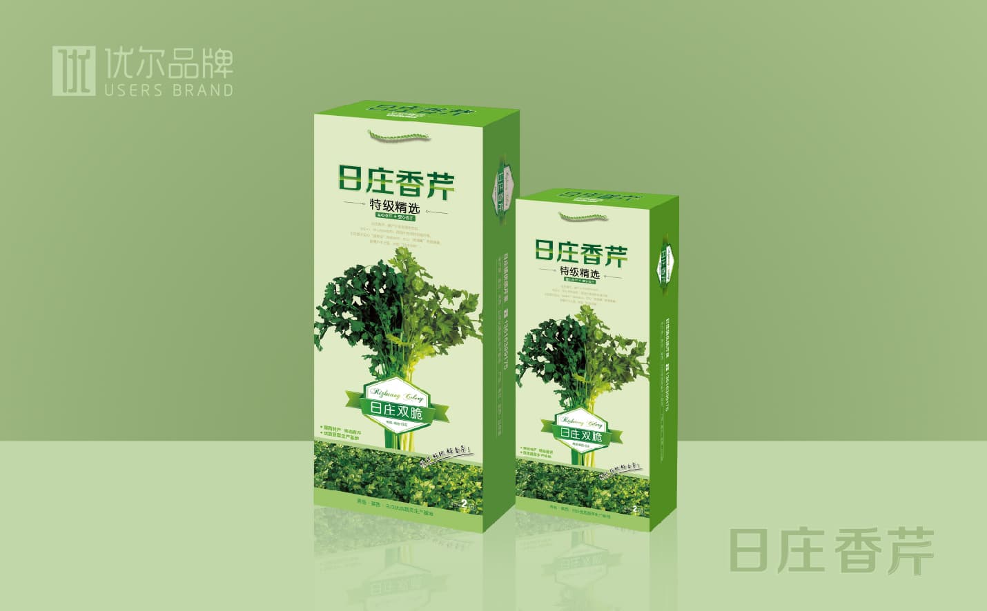 青岛蔬菜包装设计，青岛果蔬单页设计，青岛专业设计公司，青岛包装设计公司，青岛高端包装设计案例，青岛广告公司，青岛设计公司，青岛宣传页设计，青岛全案品牌设计公司