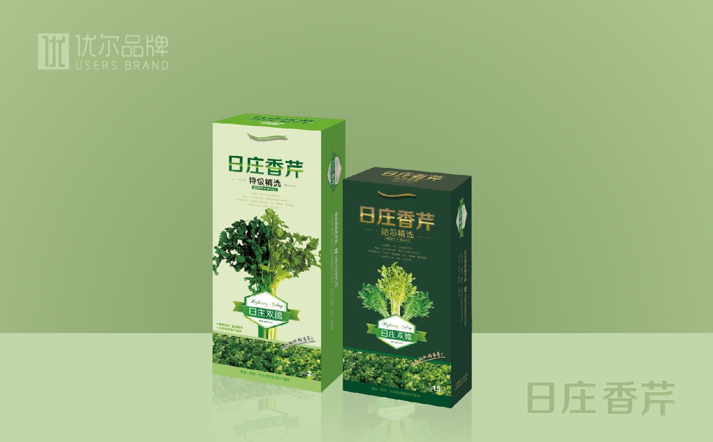青岛蔬菜包装设计，青岛果蔬单页设计，青岛专业设计公司，青岛包装设计公司，青岛高端包装设计案例，青岛广告公司，青岛设计公司，青岛宣传页设计，青岛全案品牌设计公司
