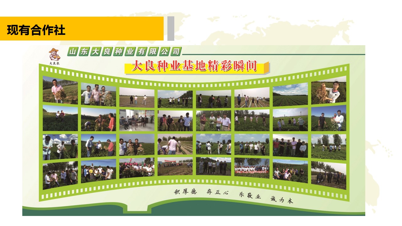 青岛PPT代写,青岛PPT撰写,商业计划书PPT代写,项目融资商业计划书代写,专业写PPT,可行性计划PPT撰写,专业写PPT的公司,公司介绍PPT,青岛专业写PPT,农业项目PPT代写