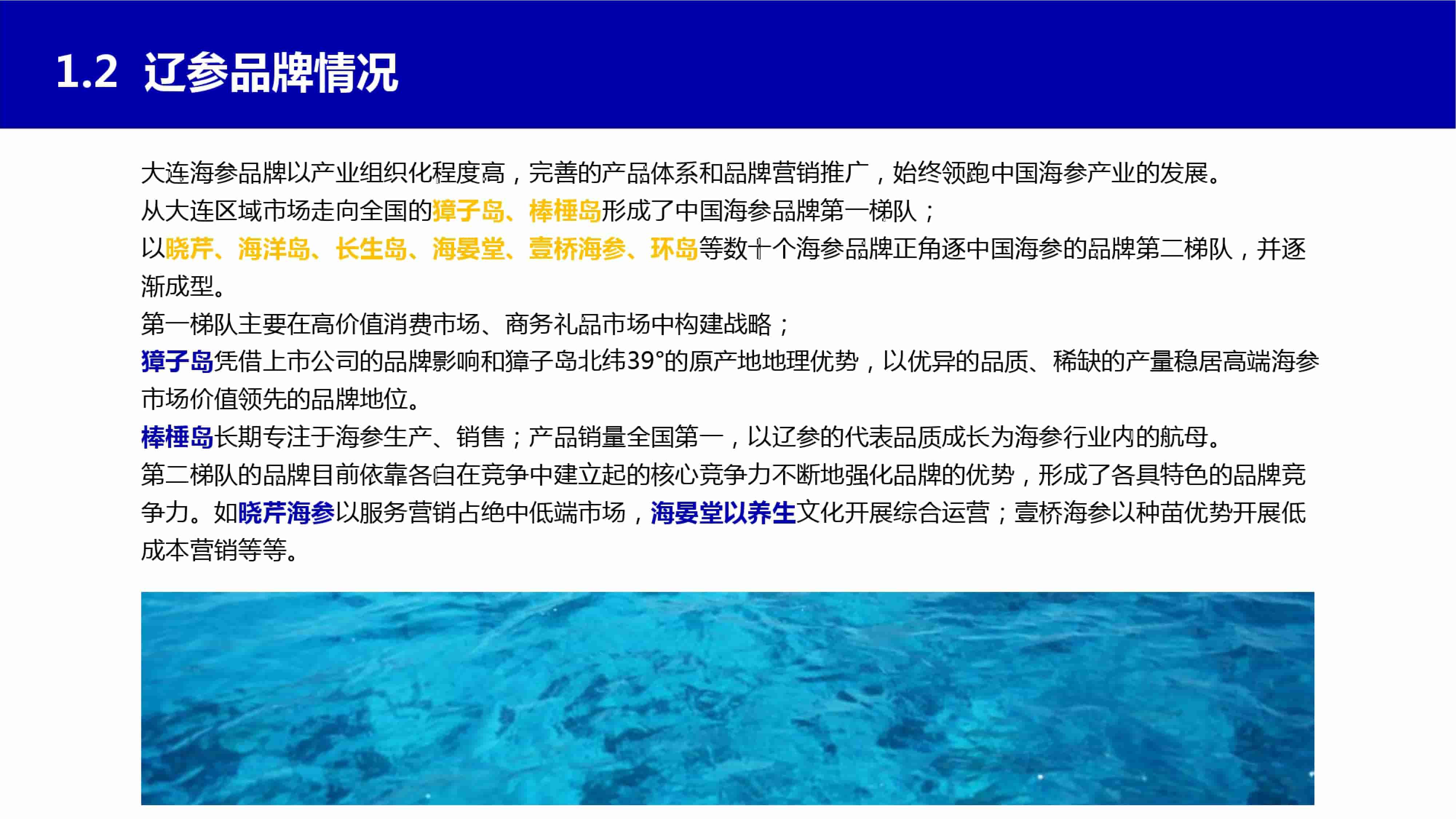 青岛品牌策划公司，青岛营销策划公司，青岛全案策划公司，青岛海参品牌全案策划案例，青岛海参品牌市场研究，青岛海参品牌定位研究，青岛海参品牌营销策划