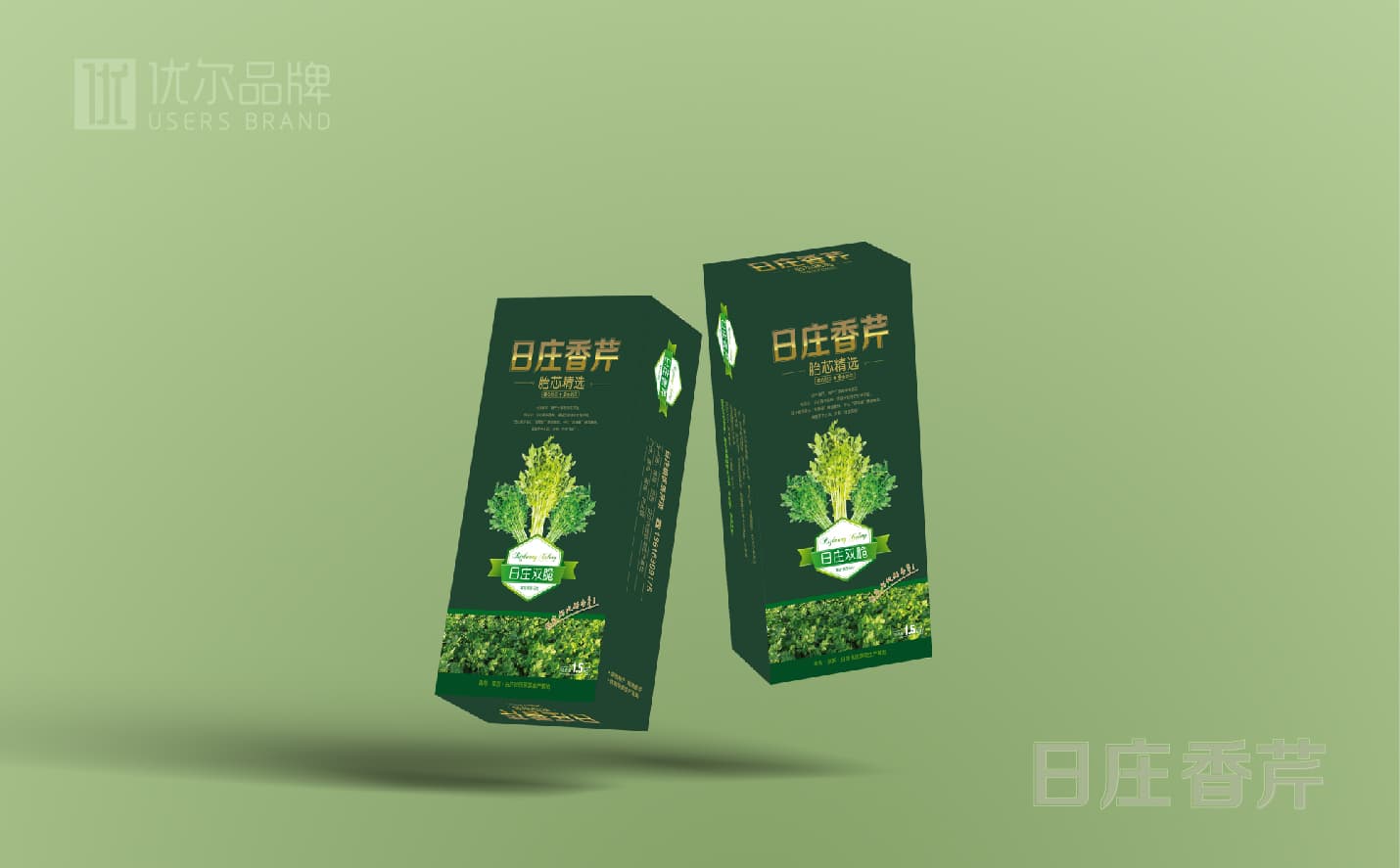 青岛蔬菜包装设计，青岛果蔬单页设计，青岛专业设计公司，青岛包装设计公司，青岛高端包装设计案例，青岛广告公司，青岛设计公司，青岛宣传页设计，青岛全案品牌设计公司