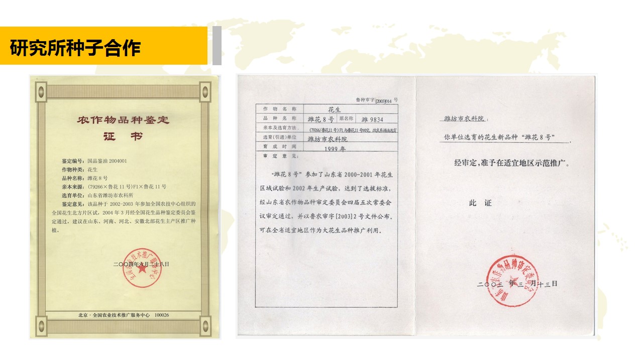 青岛PPT代写,青岛PPT撰写,商业计划书PPT代写,项目融资商业计划书代写,专业写PPT,可行性计划PPT撰写,专业写PPT的公司,公司介绍PPT,青岛专业写PPT,农业项目PPT代写