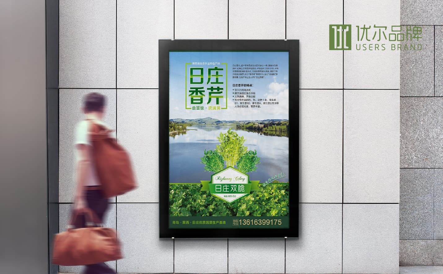 青岛蔬菜包装设计，青岛果蔬单页设计，青岛专业设计公司，青岛包装设计公司，青岛高端包装设计案例，青岛广告公司，青岛设计公司，青岛宣传页设计，青岛全案品牌设计公司