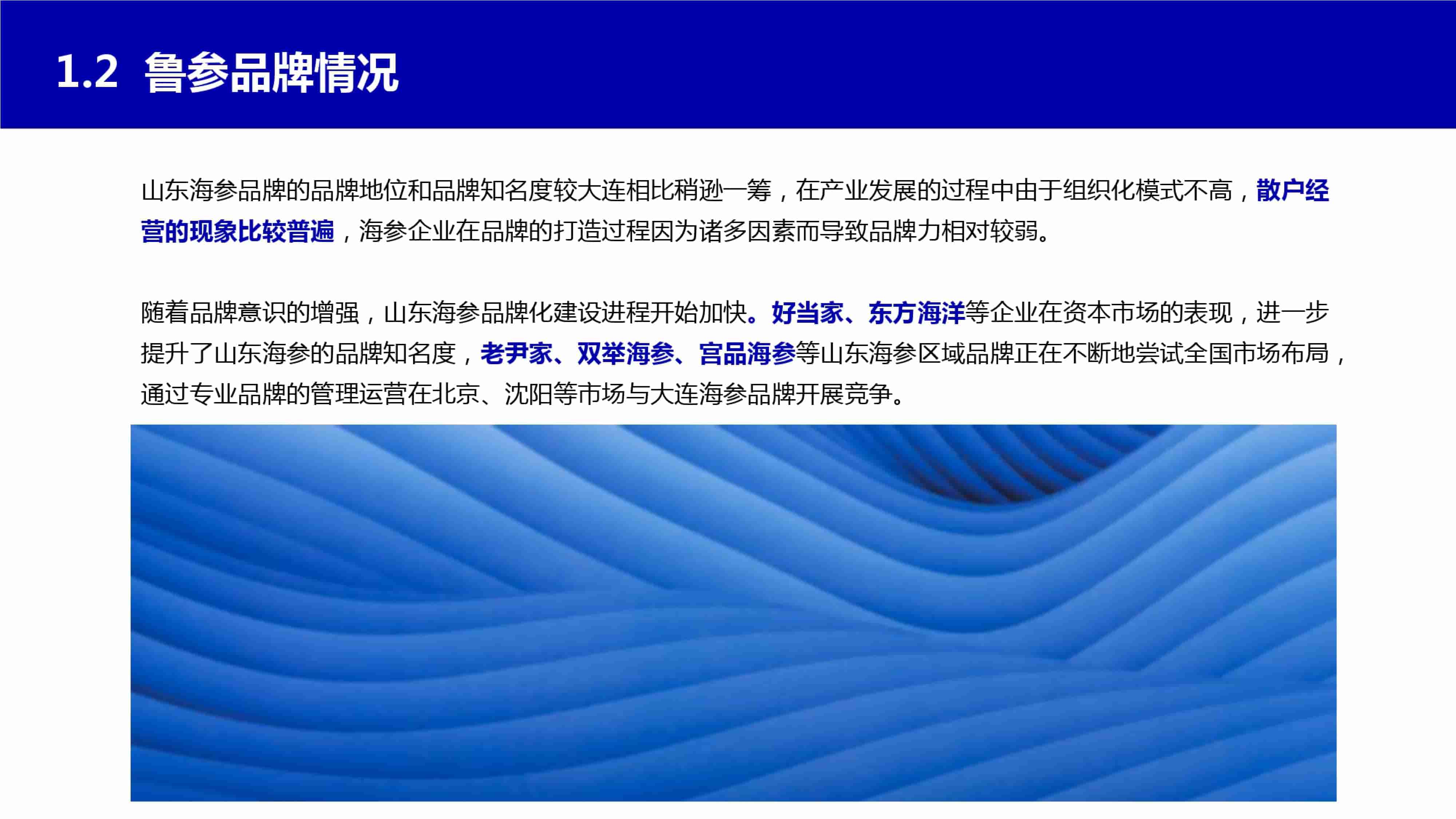 青岛品牌策划公司，青岛营销策划公司，青岛全案策划公司，青岛海参品牌全案策划案例，青岛海参品牌市场研究，青岛海参品牌定位研究，青岛海参品牌营销策划