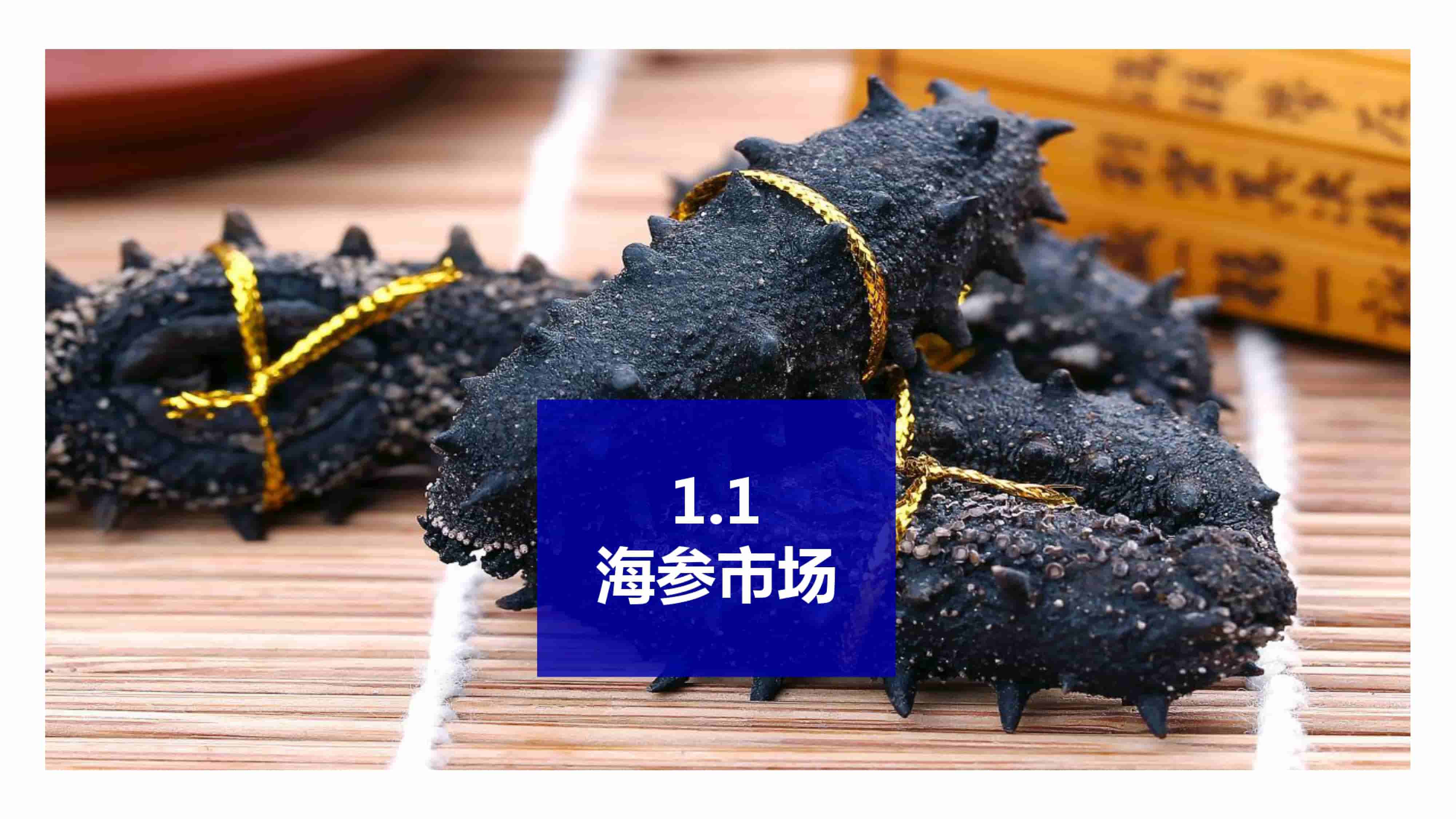 青岛品牌策划公司，青岛营销策划公司，青岛全案策划公司，青岛海参品牌全案策划案例，青岛海参品牌市场研究，青岛海参品牌定位研究，青岛海参品牌营销策划