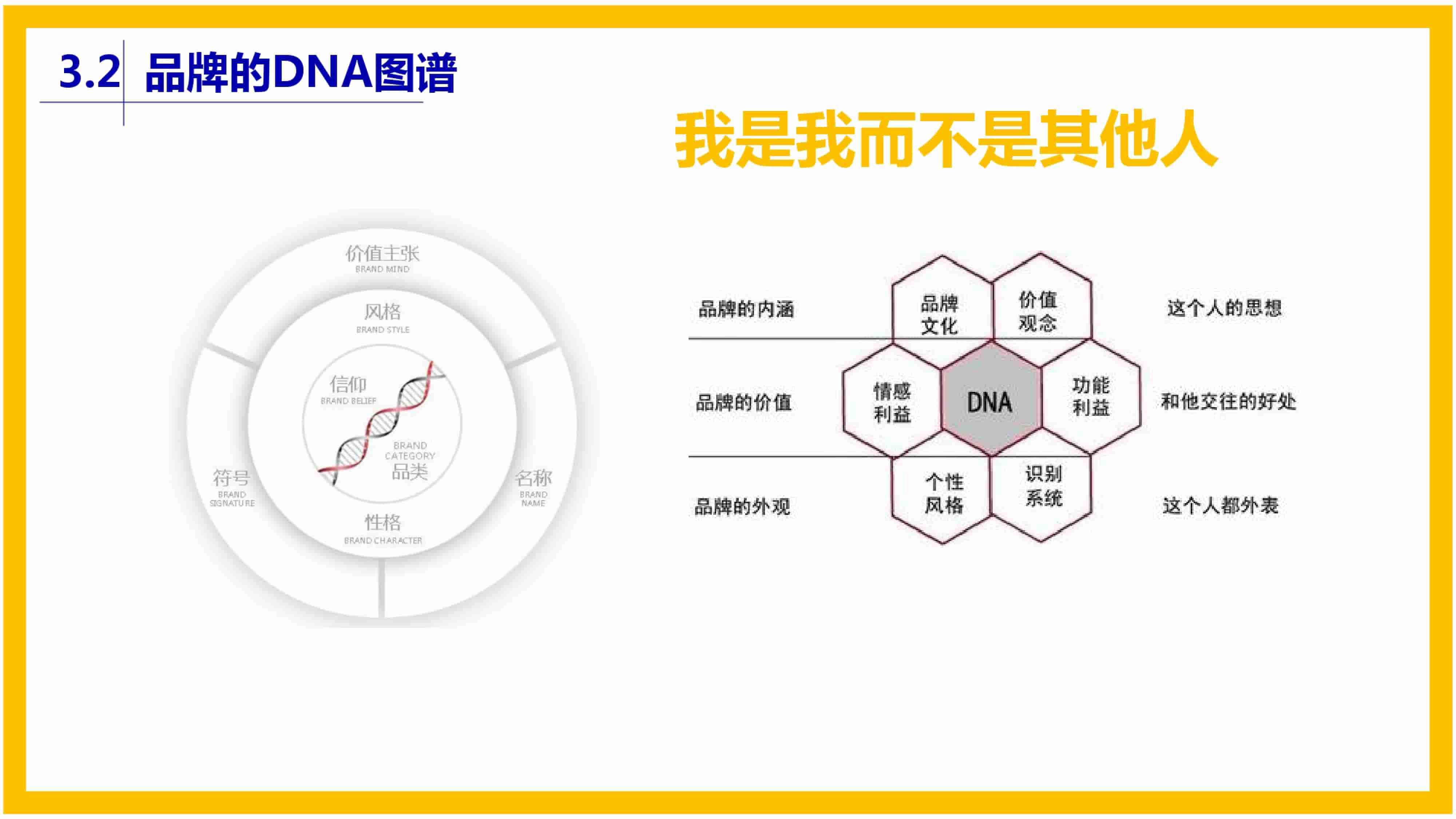 青岛品牌策划公司，青岛营销策划公司，青岛全案策划公司，青岛海参品牌全案策划案例，青岛海参品牌市场研究，青岛海参品牌定位研究，青岛海参品牌营销策划
