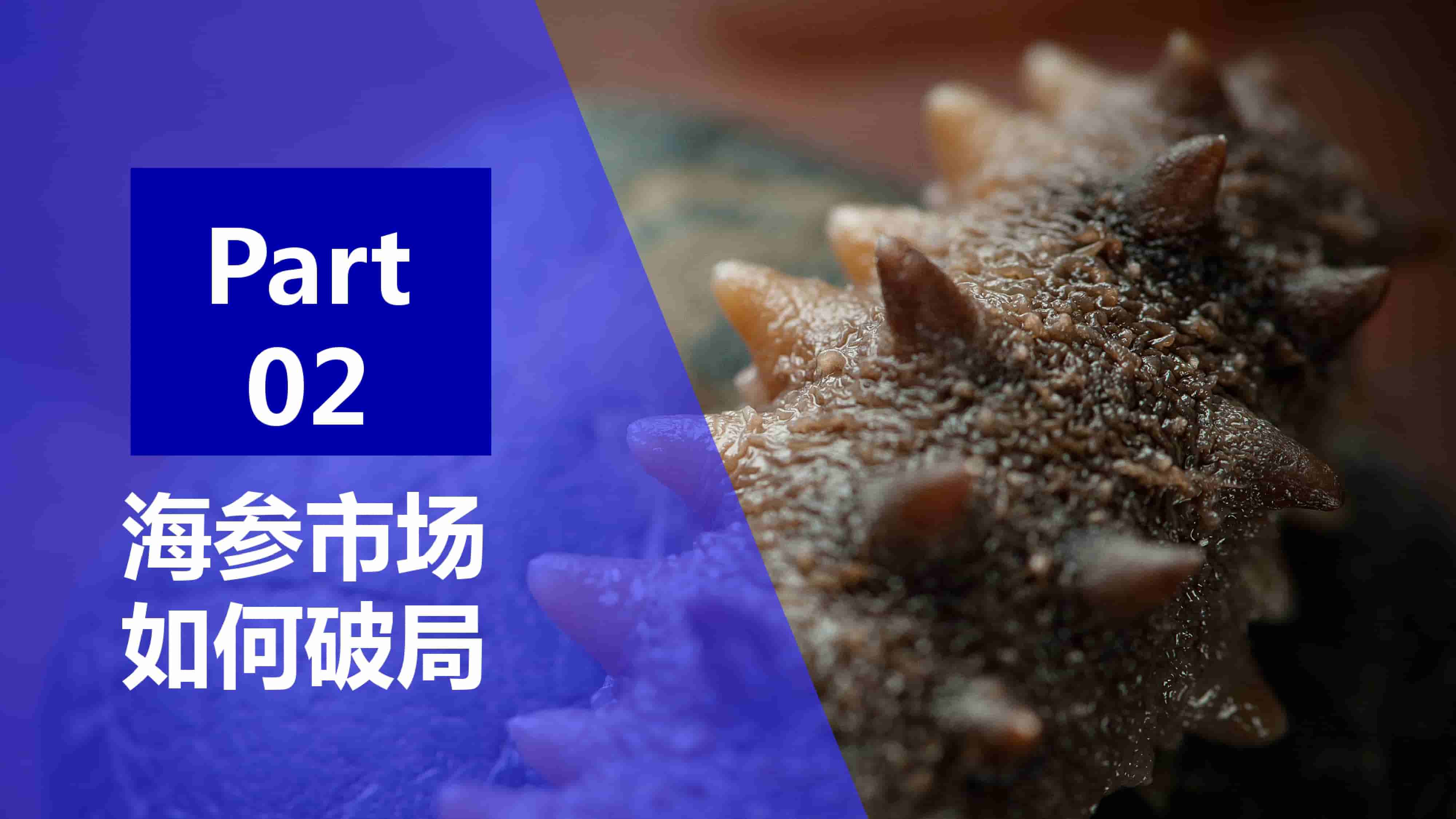 青岛品牌策划公司，青岛营销策划公司，青岛全案策划公司，青岛海参品牌全案策划案例，青岛海参品牌市场研究，青岛海参品牌定位研究，青岛海参品牌营销策划