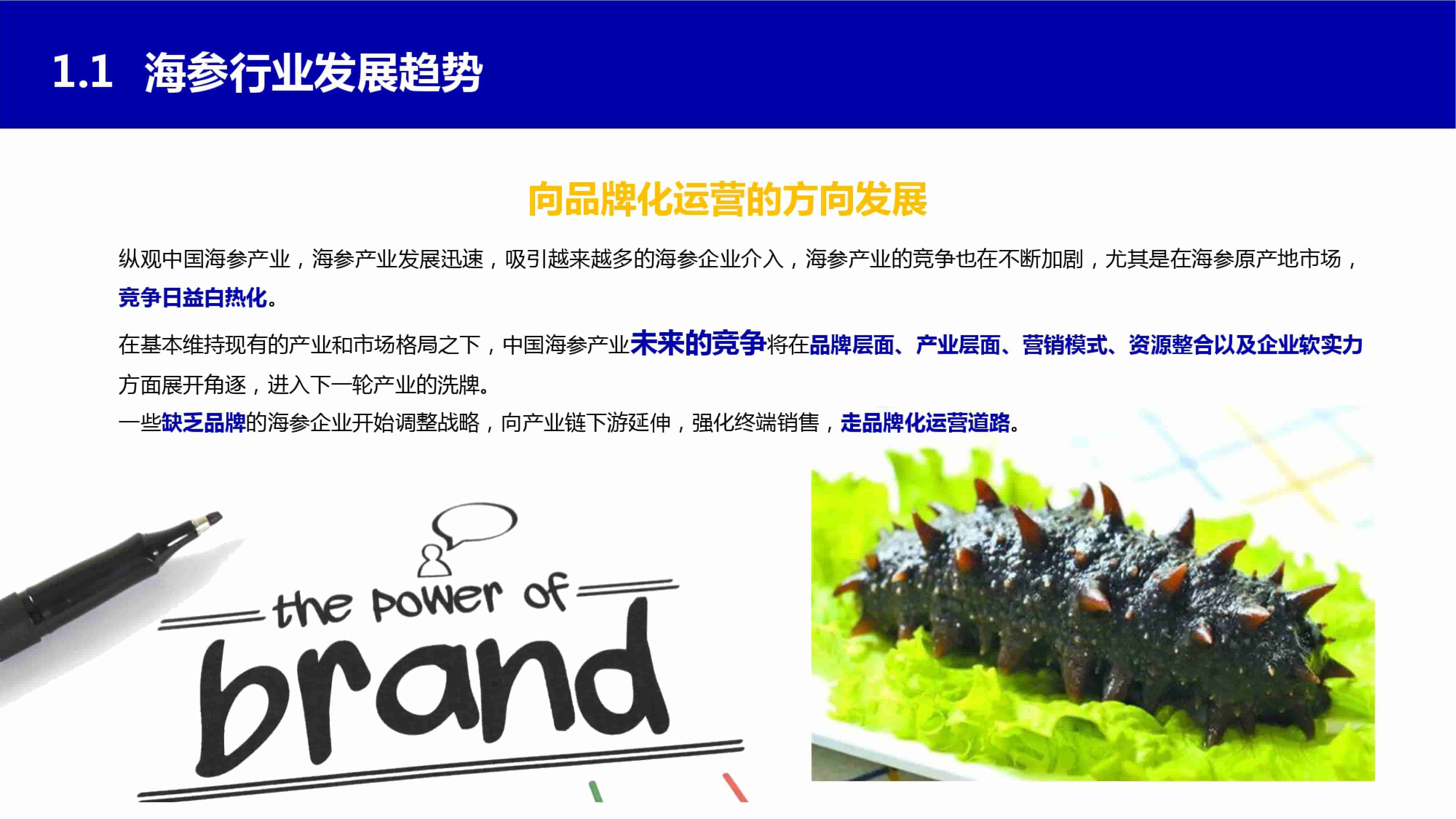 青岛品牌策划公司，青岛营销策划公司，青岛全案策划公司，青岛海参品牌全案策划案例，青岛海参品牌市场研究，青岛海参品牌定位研究，青岛海参品牌营销策划