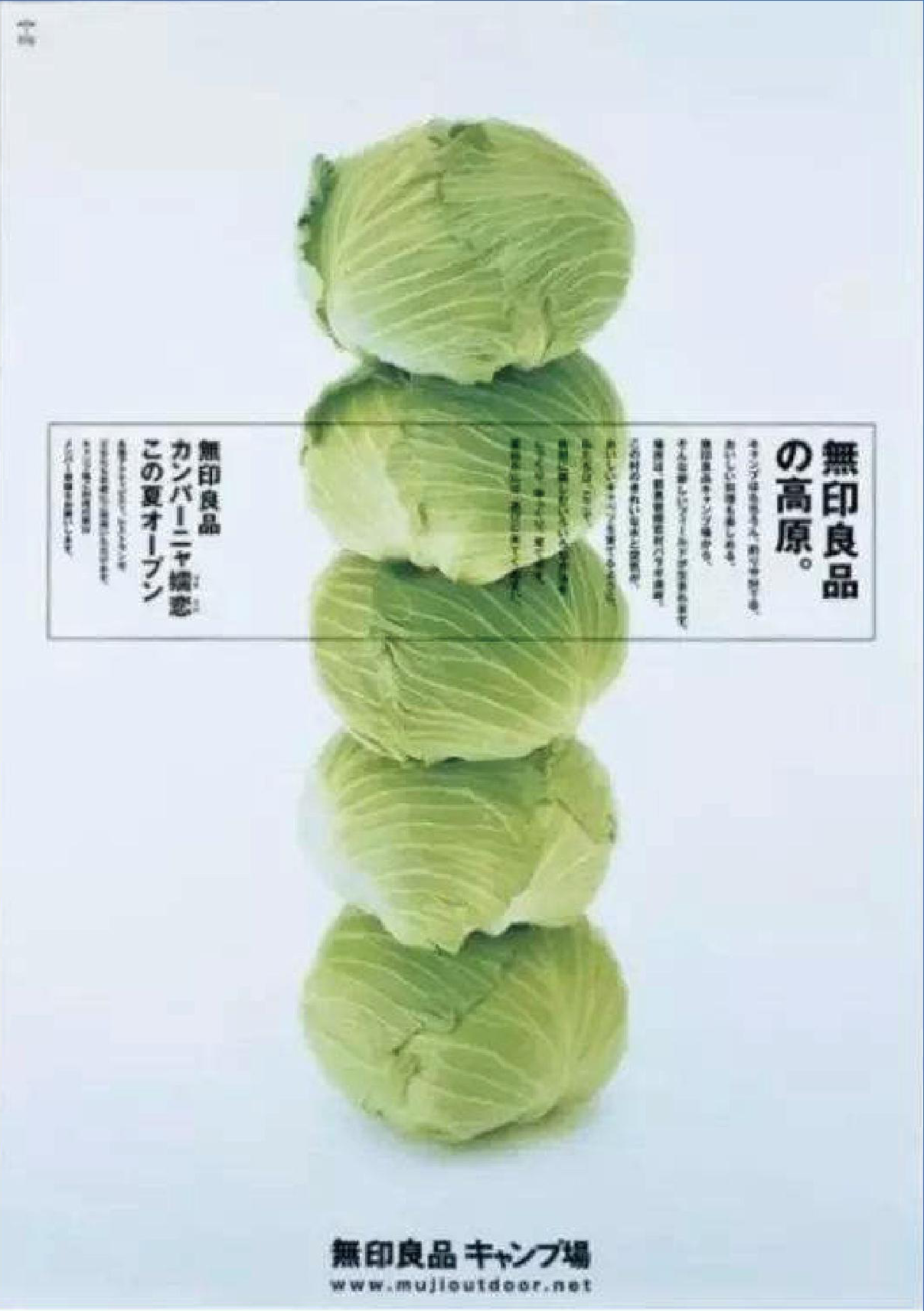 青岛设计公司，青岛广告公司，青岛平面设计，青岛品牌策划