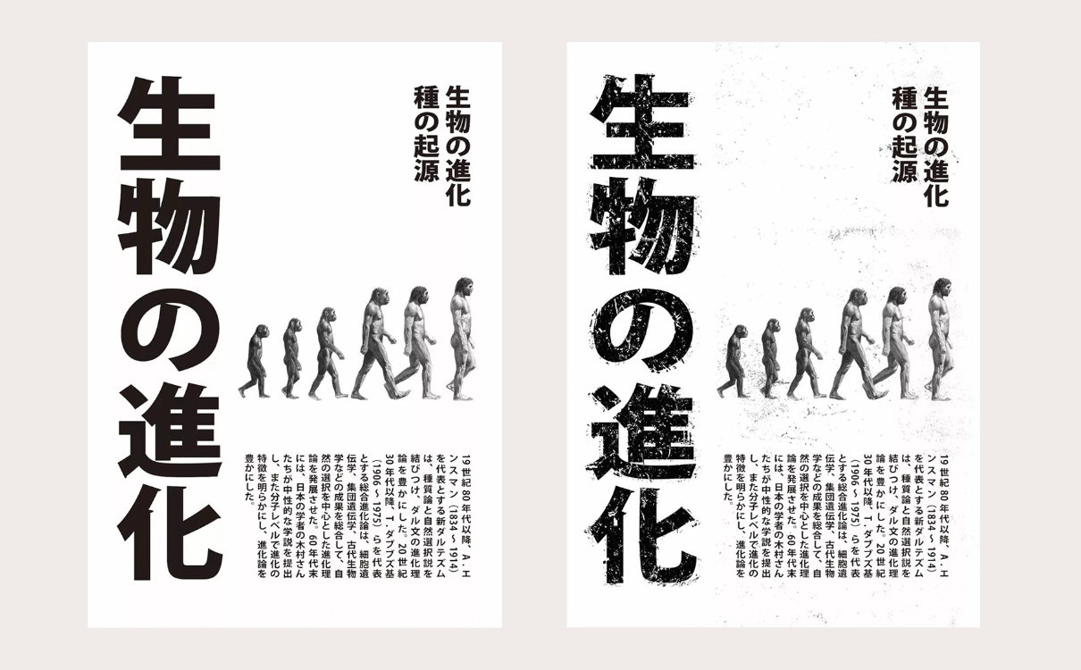 青岛品牌设计，青岛包装设计，青岛画册设计，青岛品牌策划，青岛平面设计，青岛战略，青岛全案设计
