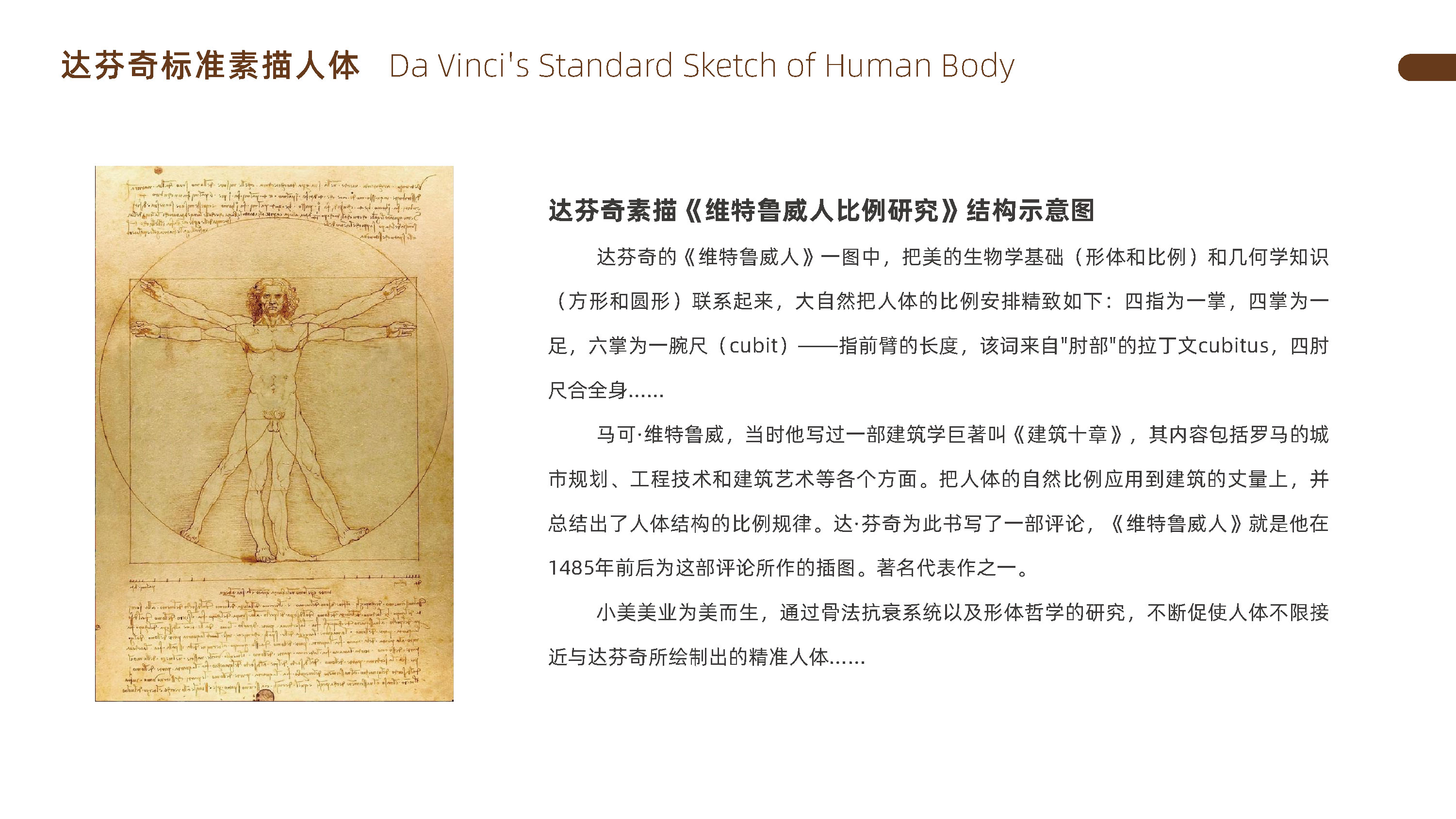 青岛logo设计，青岛标志设计，青岛设计公司，青岛美业logo设计，美容连锁logo设计，美容行业标志设计，美容业SI连锁设计