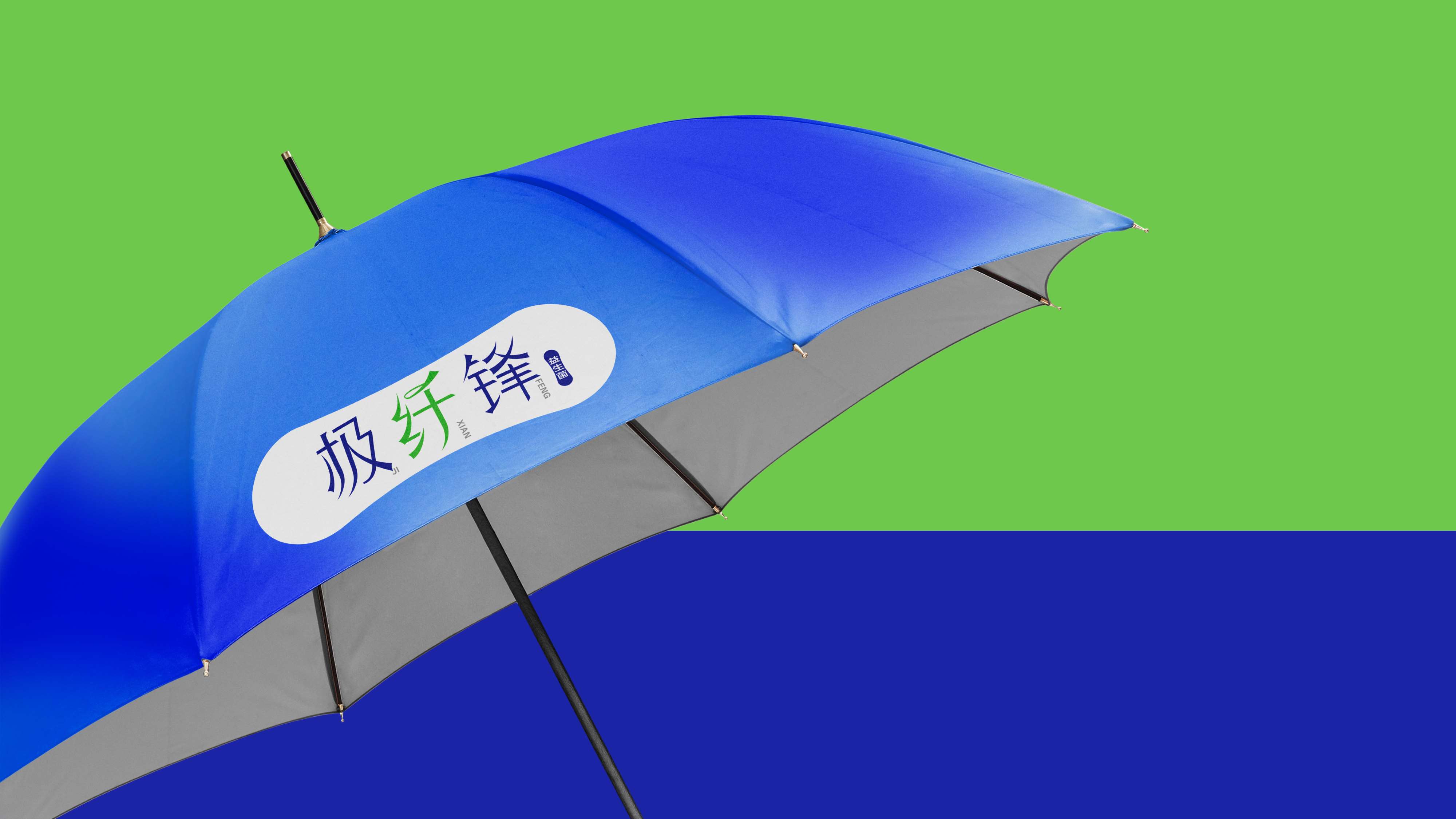品牌logo设计，益生菌logo设计，健康产品logo设计，减肥产品logo设计，品牌全案设计，青岛设计公司，青岛logo设计，青岛标志设计，青岛品牌策划 
