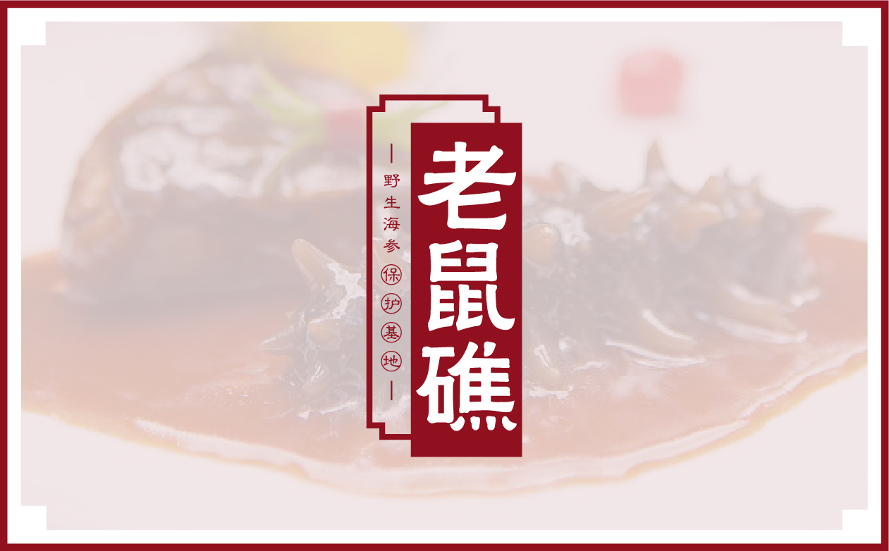 老鼠礁海参案例_画板 1 副本 2