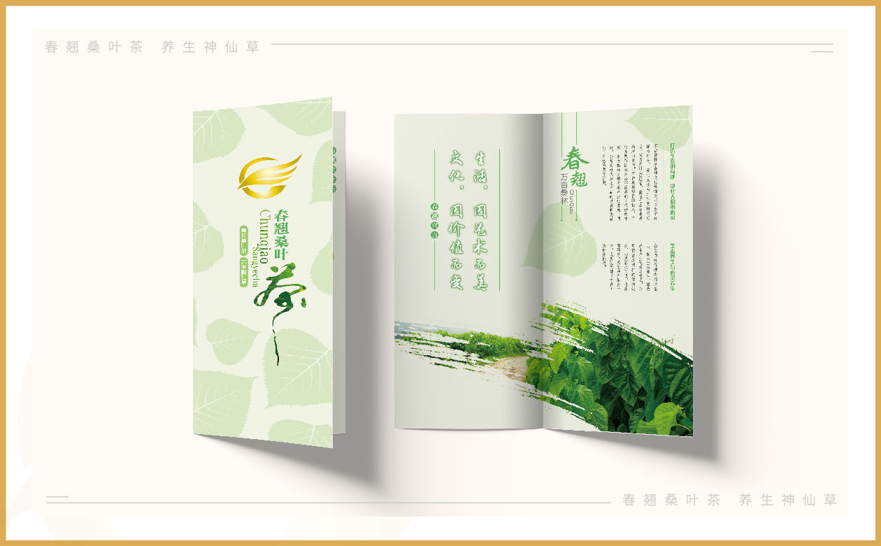 C.春翘文化传播册子e_画板 1 副本 25