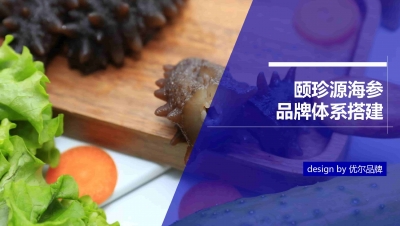 青岛品牌策划公司，青岛营销策划公司，青岛全案策划公司，青岛海参品牌全案策划案例，青岛海参品牌市场研究，青岛海参品牌定位研究，青岛海参品牌营销策划