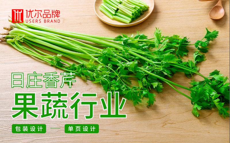 日庄,香芹,包装,单页,设计