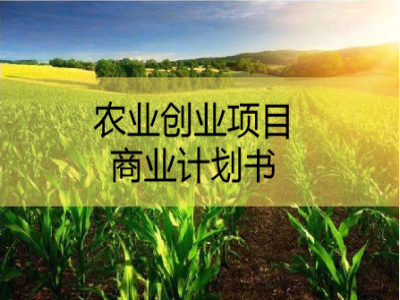 青岛可行性研究报告，青岛商业计划书撰写，青