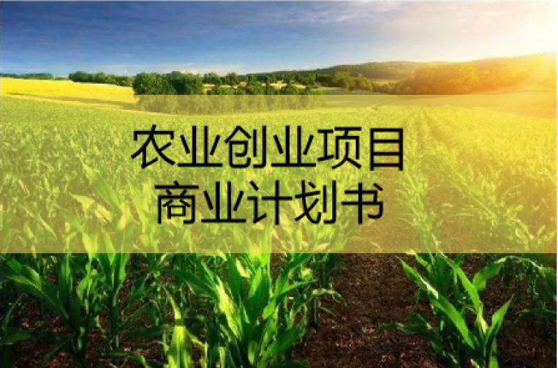 青岛可行性研究报告，青岛商业计划书撰写，青