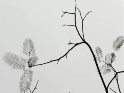 品牌设计公司,国画设计,青岛品牌营销,企业品牌