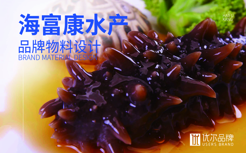海,富康,海参,杂志,稿