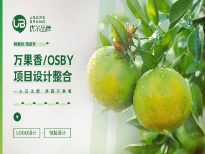 青岛设计公司,青岛品牌策划,青岛广告公司