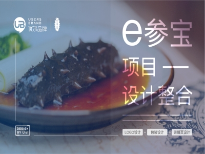 食品行业,参宝,海参,-logo,设计,、,包装设计