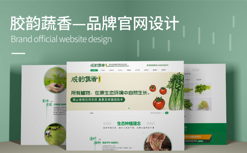 青岛响应式网站,青岛网站设计,青岛网络推广,青