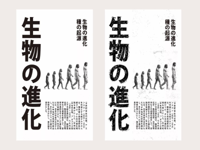 青岛品牌设计，青岛包装设计，青岛画册设计，青岛品牌策划，青岛平面设计，青岛战略，青岛全案设计