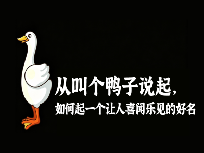 从,叫个,鸭子,说起,如何,起,一个,让人,作者