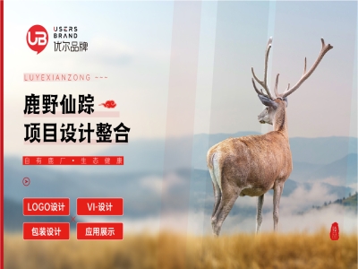 青岛设计公司,青岛品牌策划,青岛广告公司