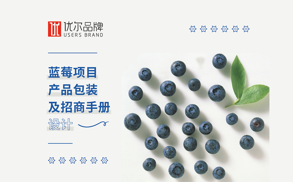 食品品牌策划设计,食品logo设计,食品包装设计,食品品牌策划设计,食品连锁策划设计,食品画册设计,物料设计,广告设计,品牌策划,蓝莓品牌策划设计