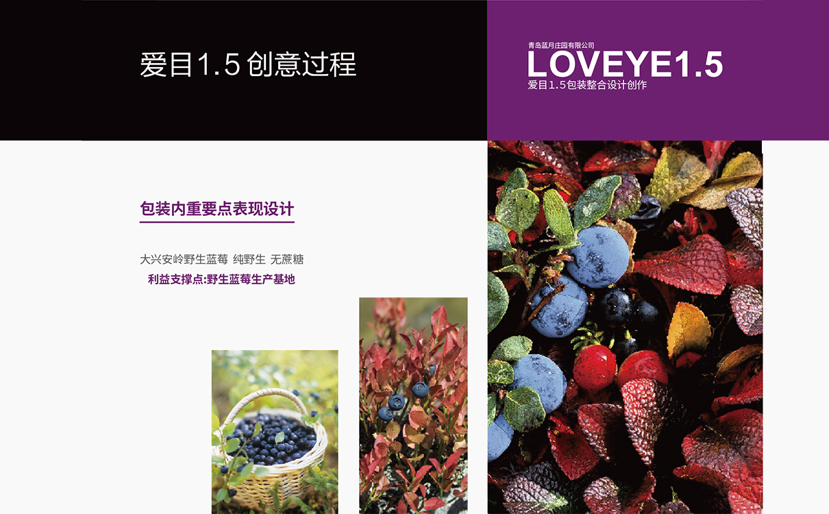 食品品牌策划设计,食品logo设计,食品包装设计,食品品牌策划设计,食品连锁策划设计,食品画册设计,物料设计,广告设计,品牌策划,蓝莓品牌策划设计