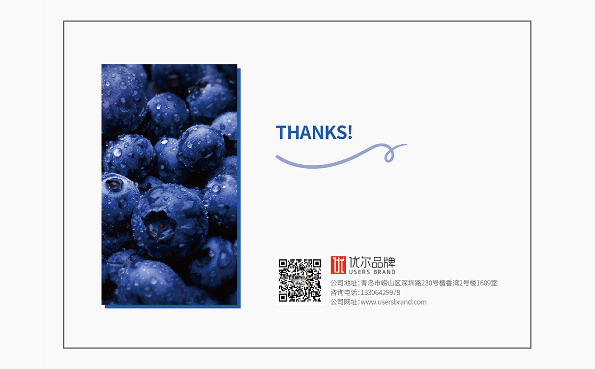 食品品牌策划设计,食品logo设计,食品包装设计,食品品牌策划设计,食品连锁策划设计,食品画册设计,物料设计,广告设计,品牌策划,蓝莓品牌策划设计